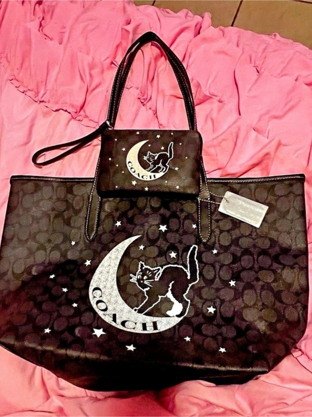 Coach Signature Canvas Halloween Black Cat & Moon Tote + Matching Wristlet